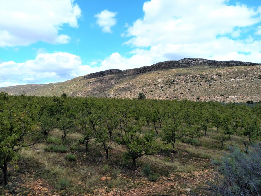 0 Bedroom Property for Sale in Uniondale Rural Western Cape